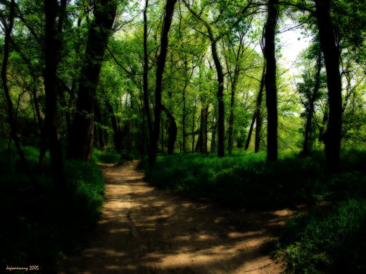 27666 (a): :1600x1200